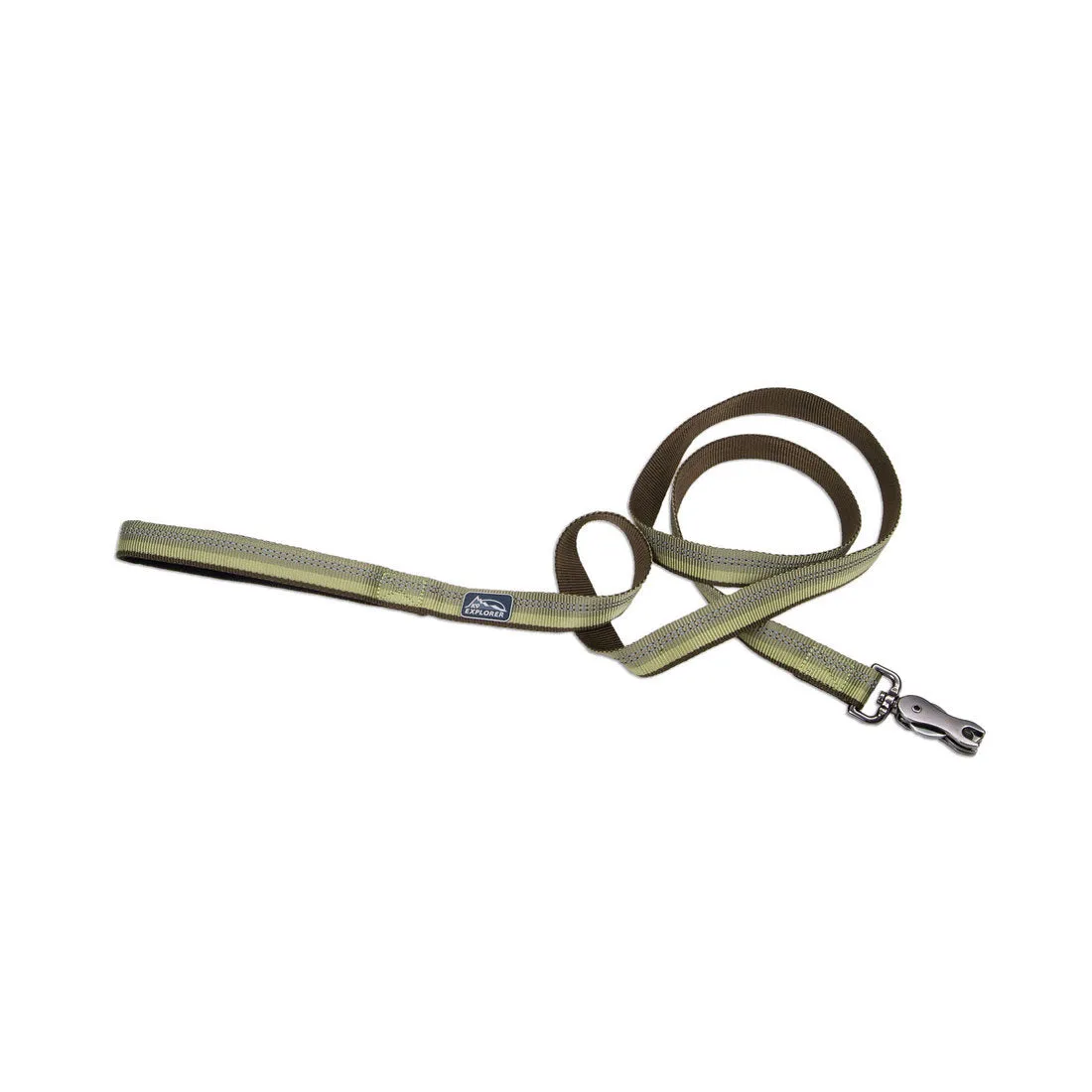 K9 Explorer® Reflective Dog Leash with Scissor Snap, Fern 1" x 6'