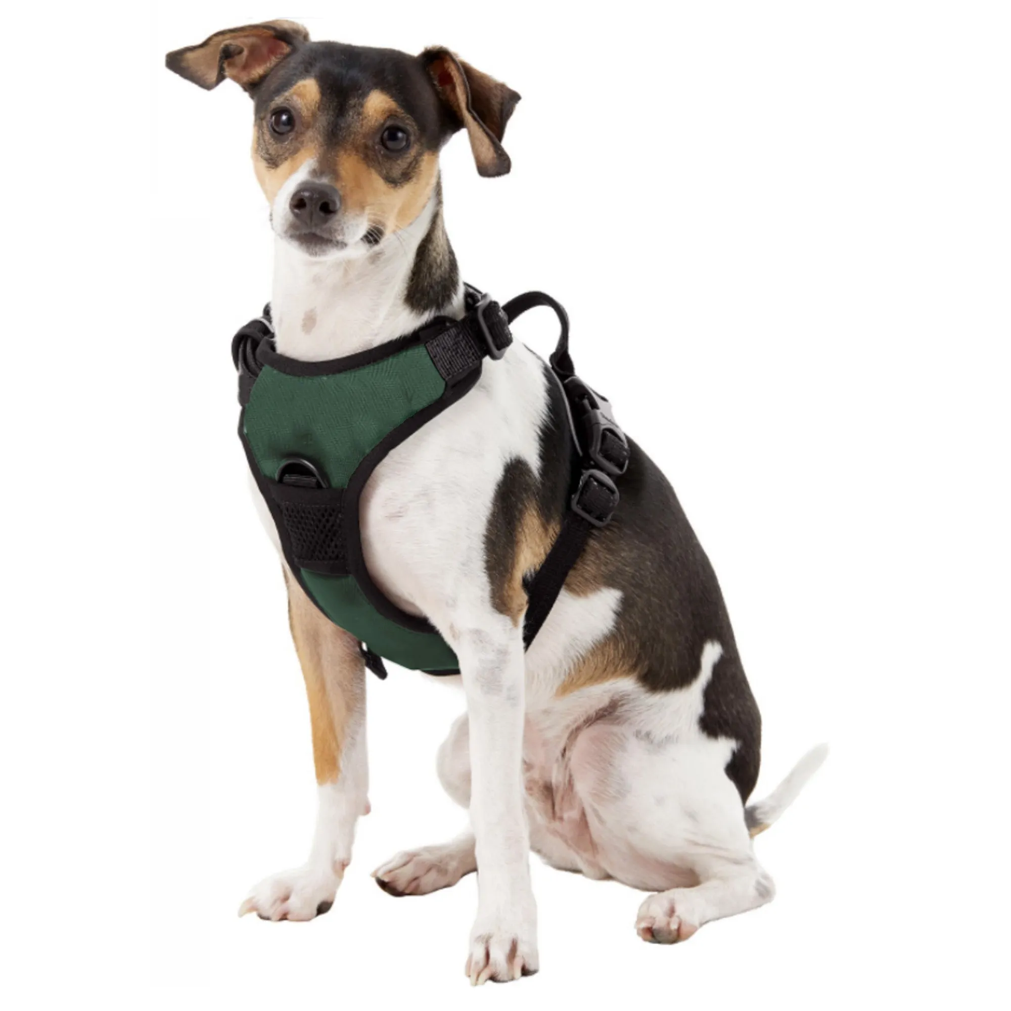 Michigan State University Front Clip Pet Harness