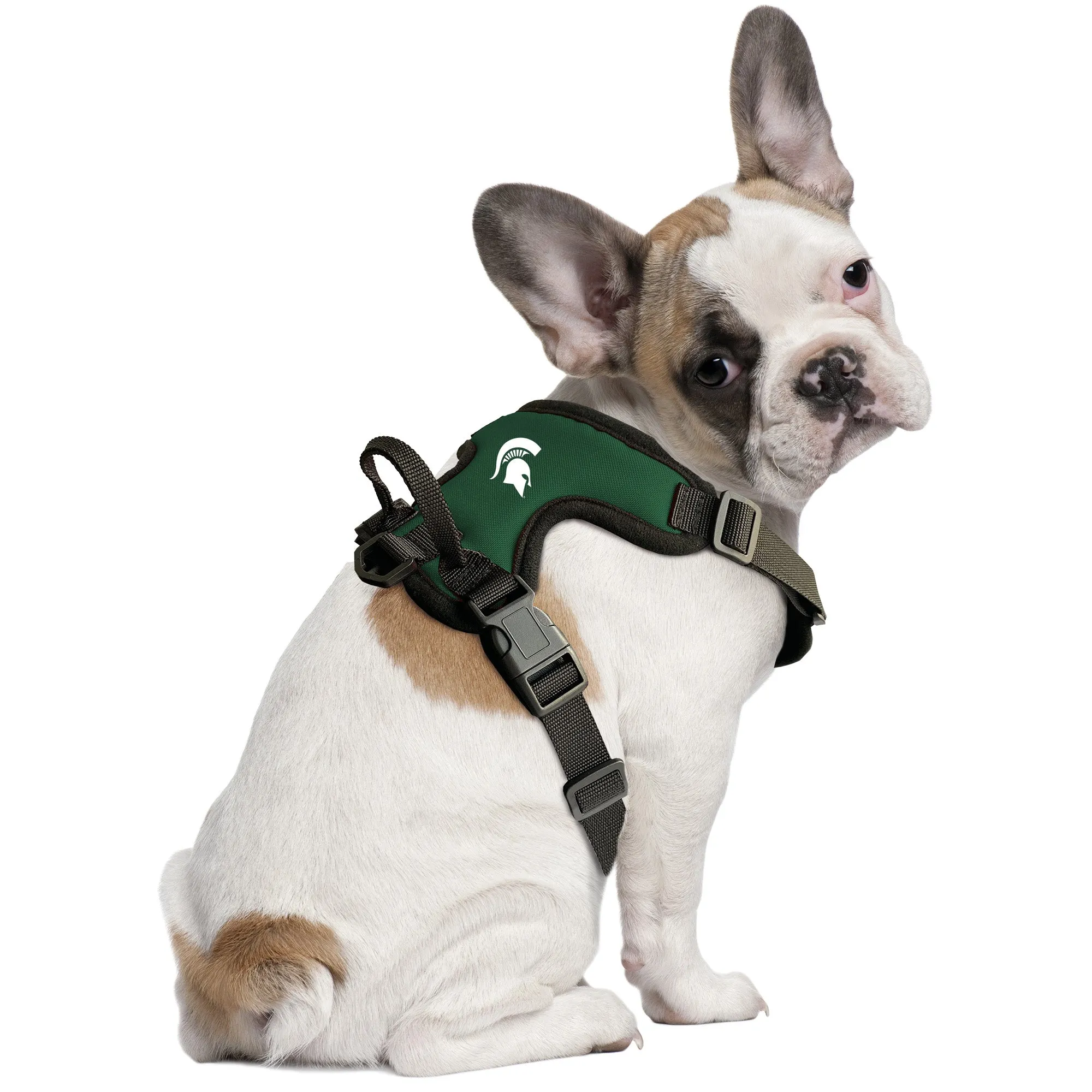 Michigan State University Front Clip Pet Harness