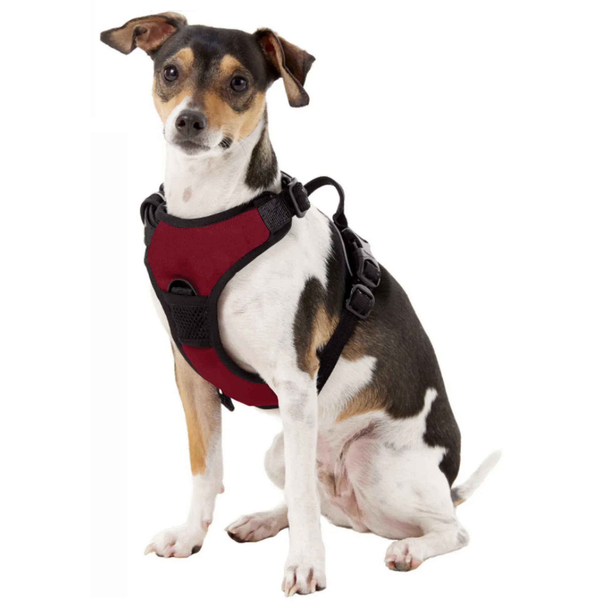 Mississippi State University Front Clip Pet Harness