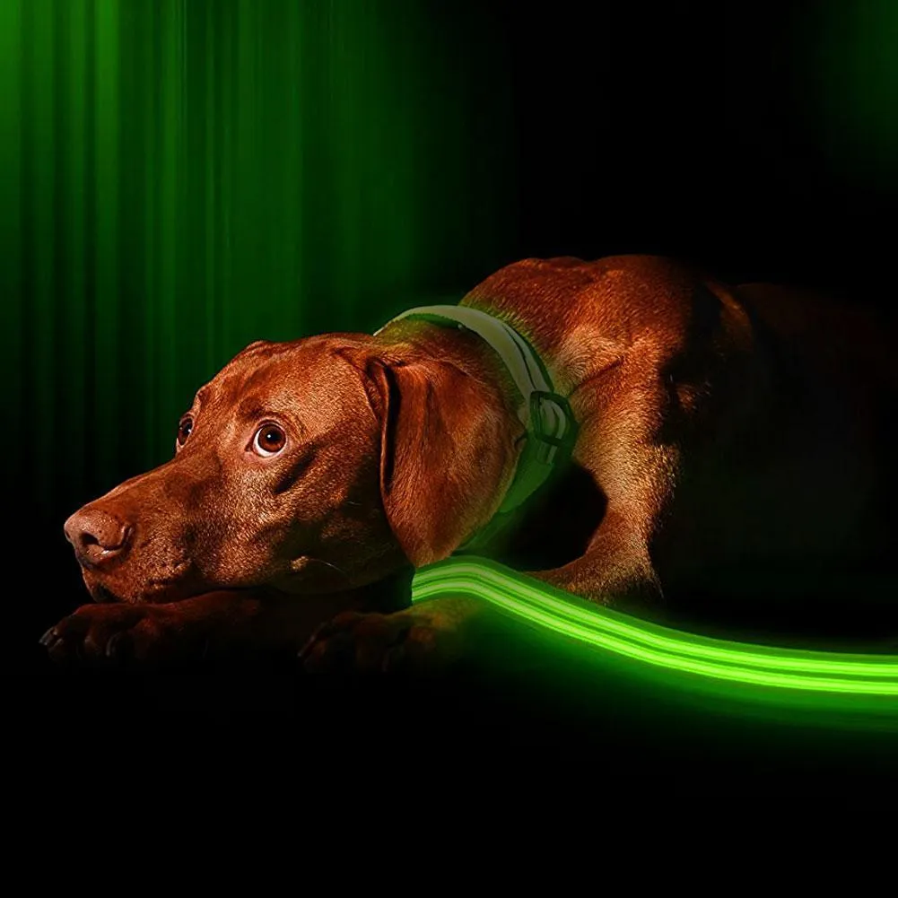 MuttGuard™ Visibility Leash