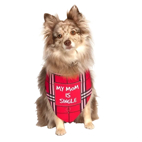 My Mom Is Single Dog Bandana by Dog Fashion Living