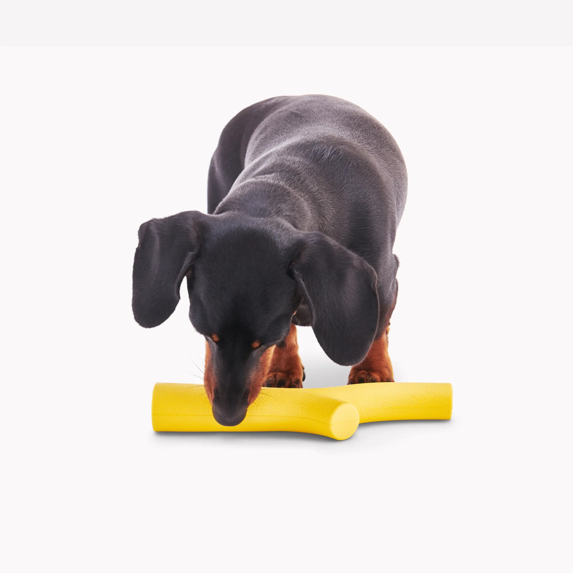 Natural Rubber Super Stick Dog Toy