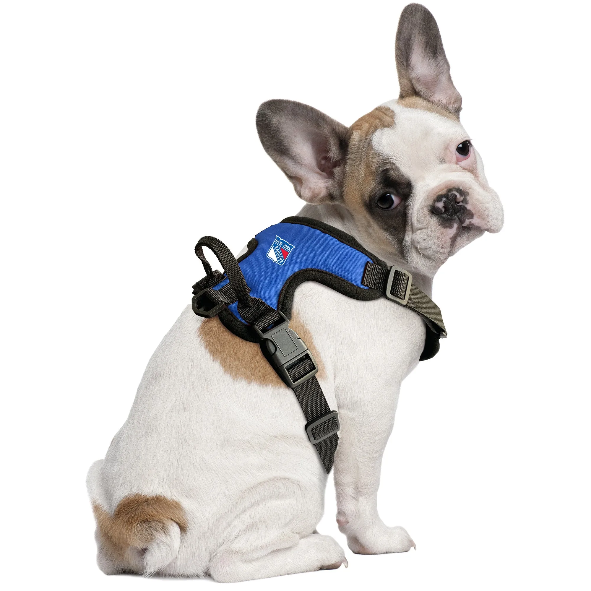 New York Rangers Front Clip Pet Harness