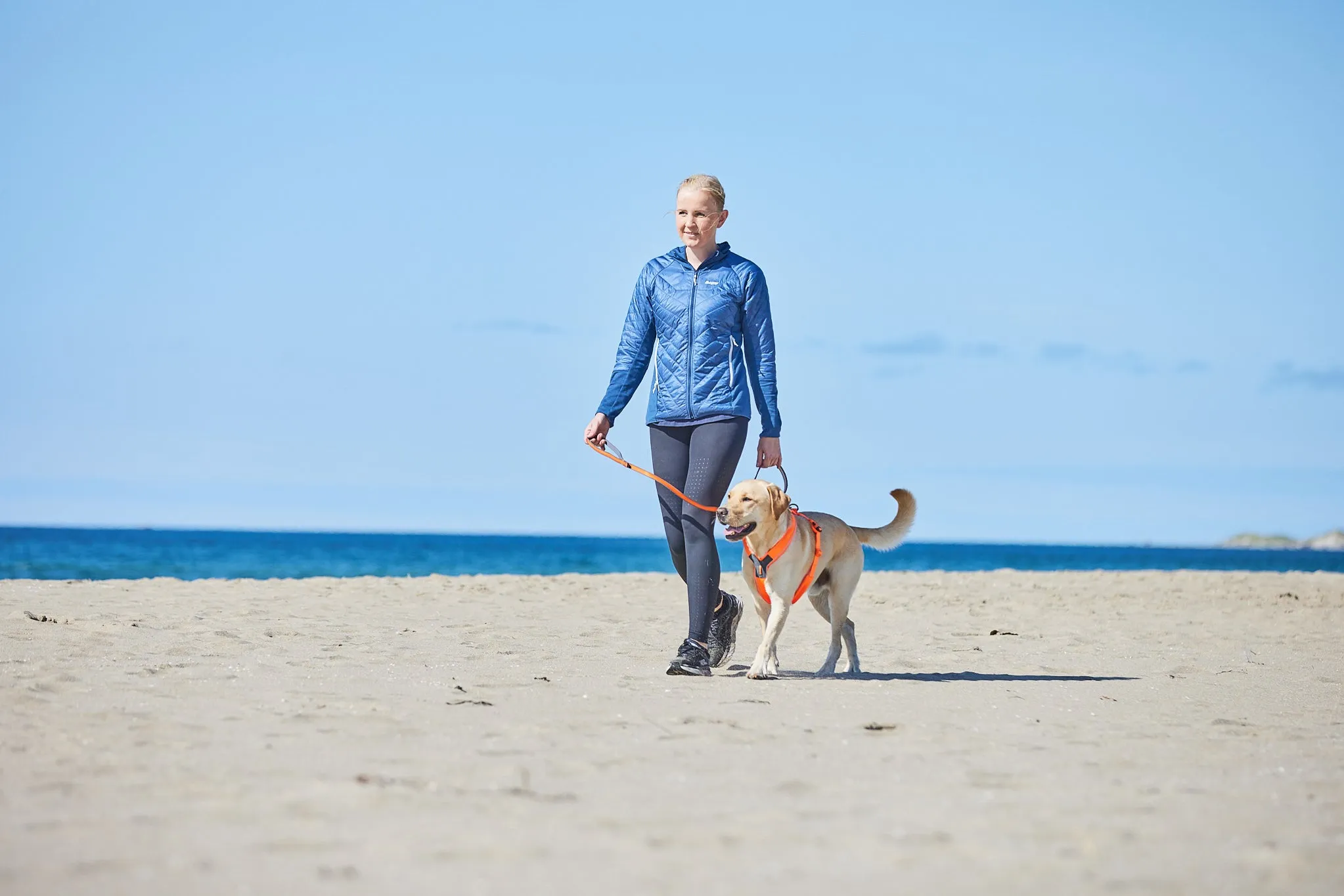Non-Stop Dog Wear: Move Leash