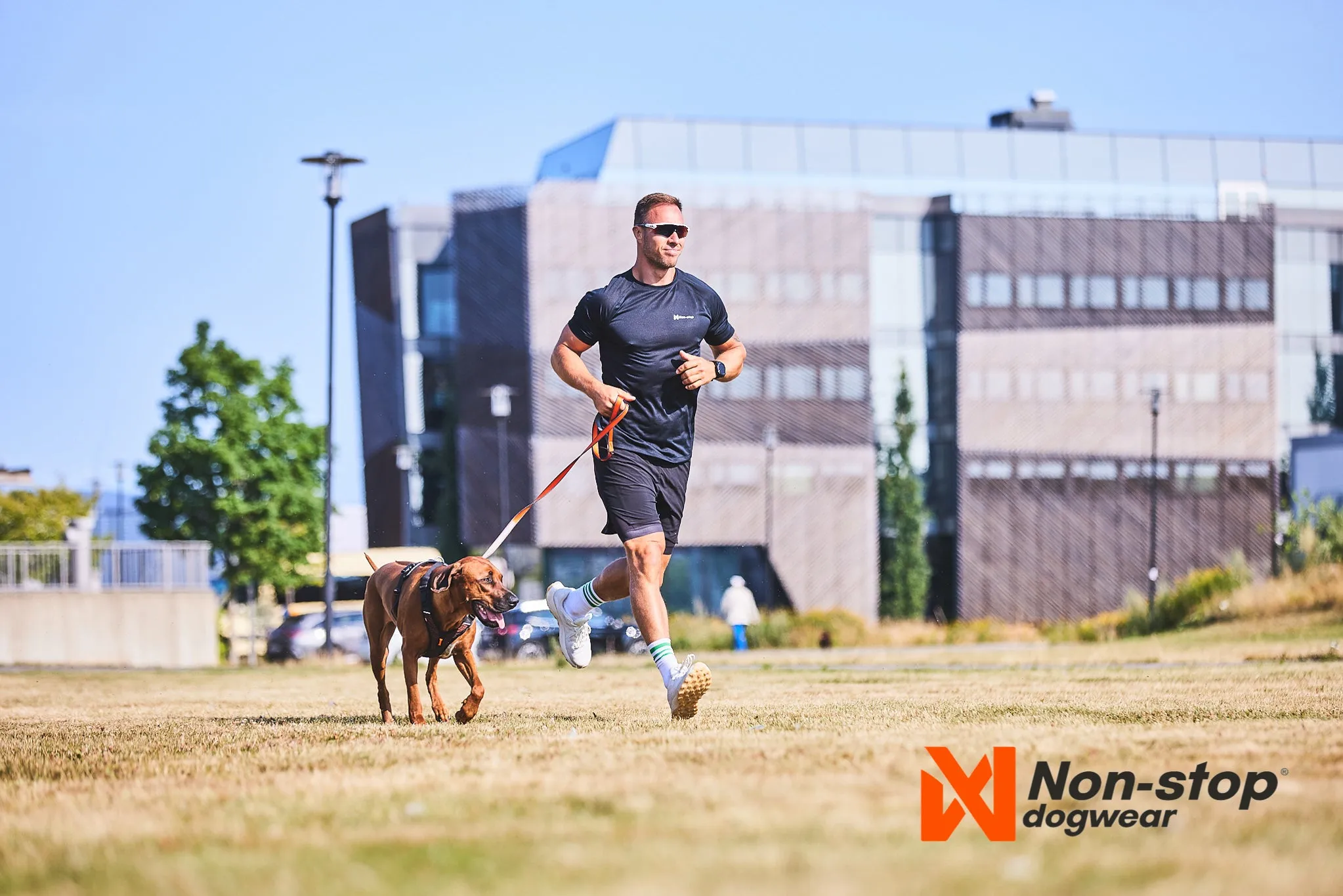 Non-Stop Dog Wear: Move Leash