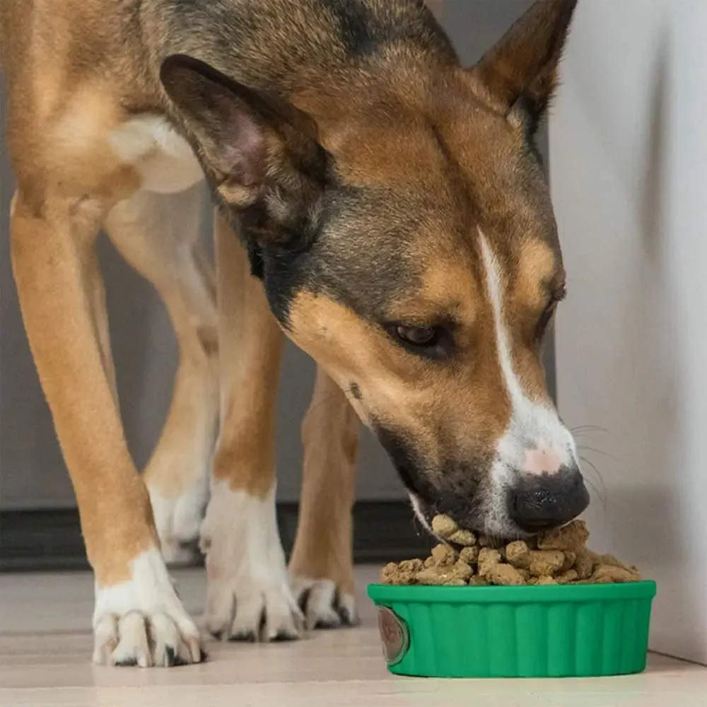 Open Farm® Homestead Turkey Freeze Dried Raw Dog Food
