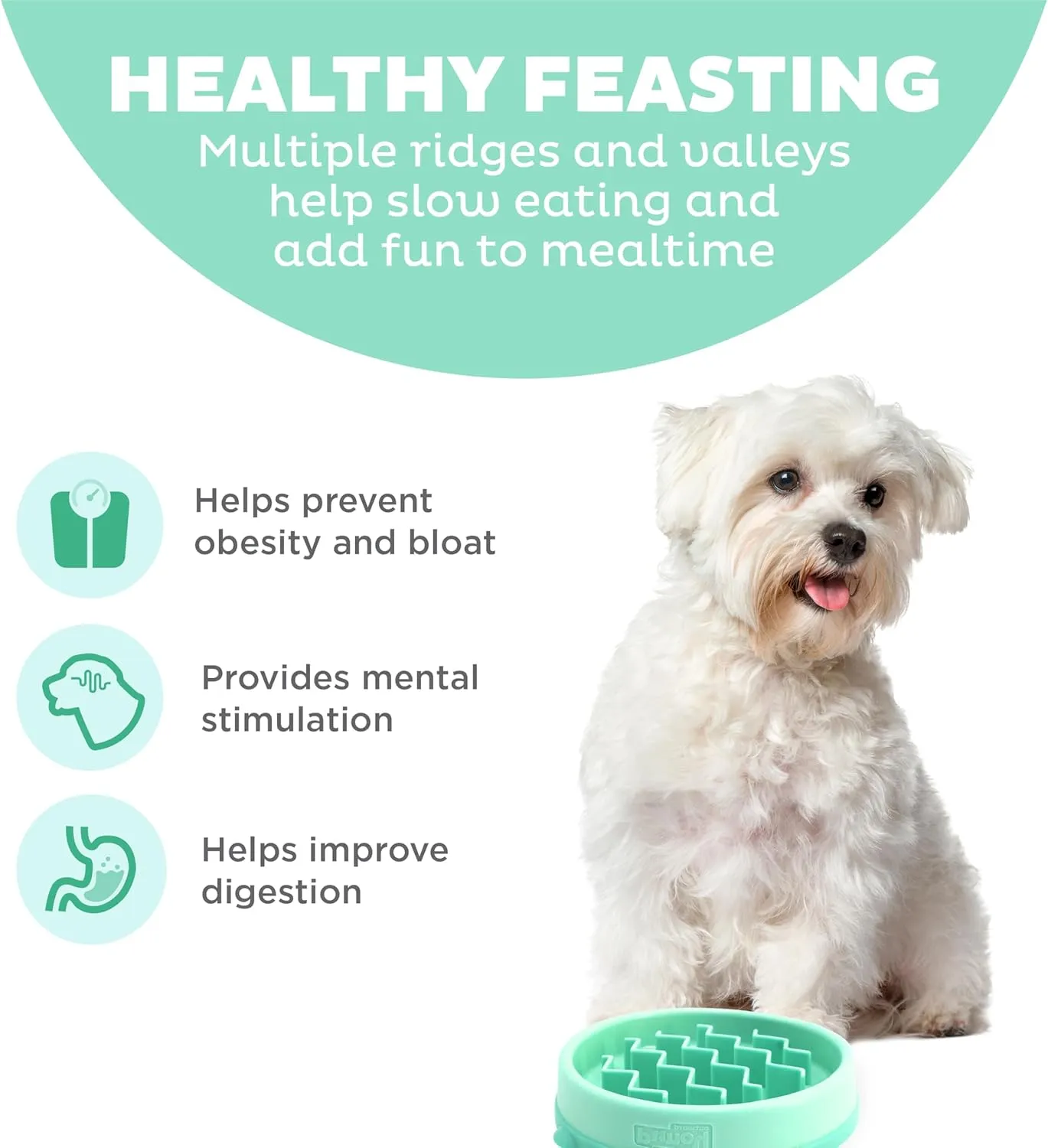 Outward Hound Fun Feeder Slo Bowl Slow Pet Feeder Bowl for Dogs in Mint Plastic