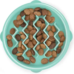 Outward Hound Fun Feeder Slo Bowl Slow Pet Feeder Bowl for Dogs in Mint Plastic