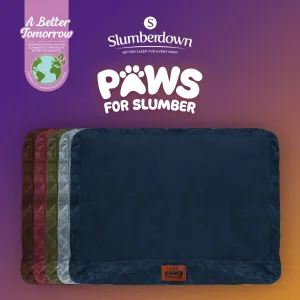 Paws for Slumber Pet Bed Spare Cover