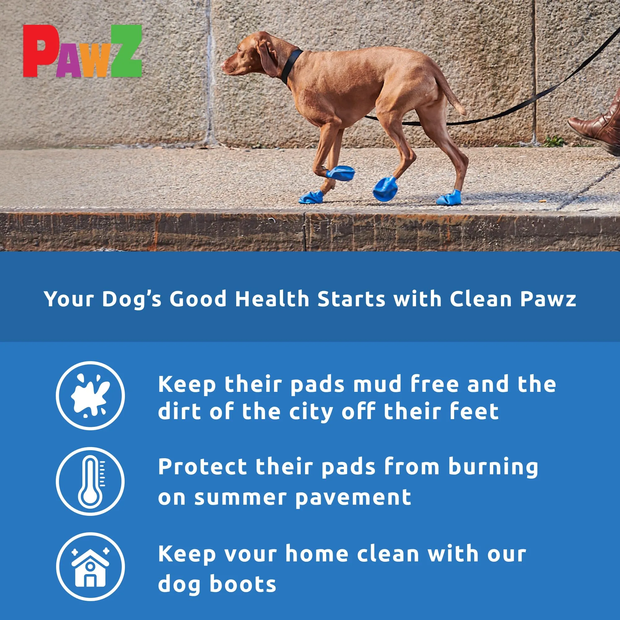 Pawz Waterproof Disposable and Reusable Rubberized Dog Boots - Black - Extra Small - 12 Pack