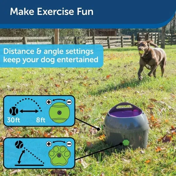 PetSafe Automatic Ball Launcher