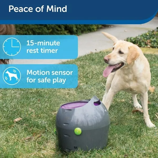 PetSafe Automatic Ball Launcher