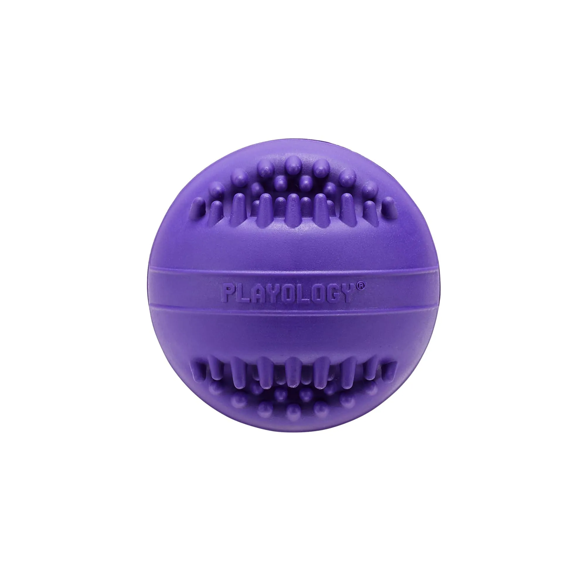 Playology Pork Scented Dental Chew Ball Rubber Dog Toy with Encapsiscent Technology - Small
