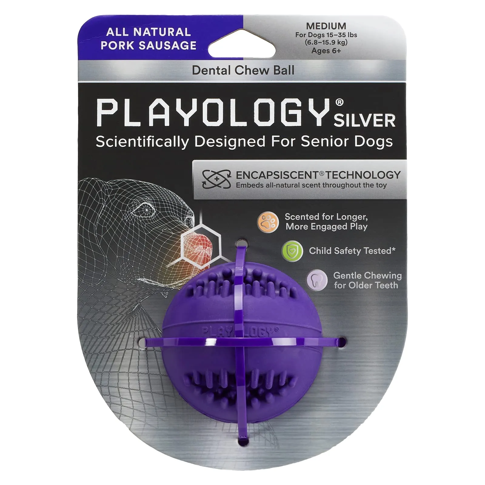 Playology Pork Scented Dental Chew Ball Rubber Dog Toy with Encapsiscent Technology - Small