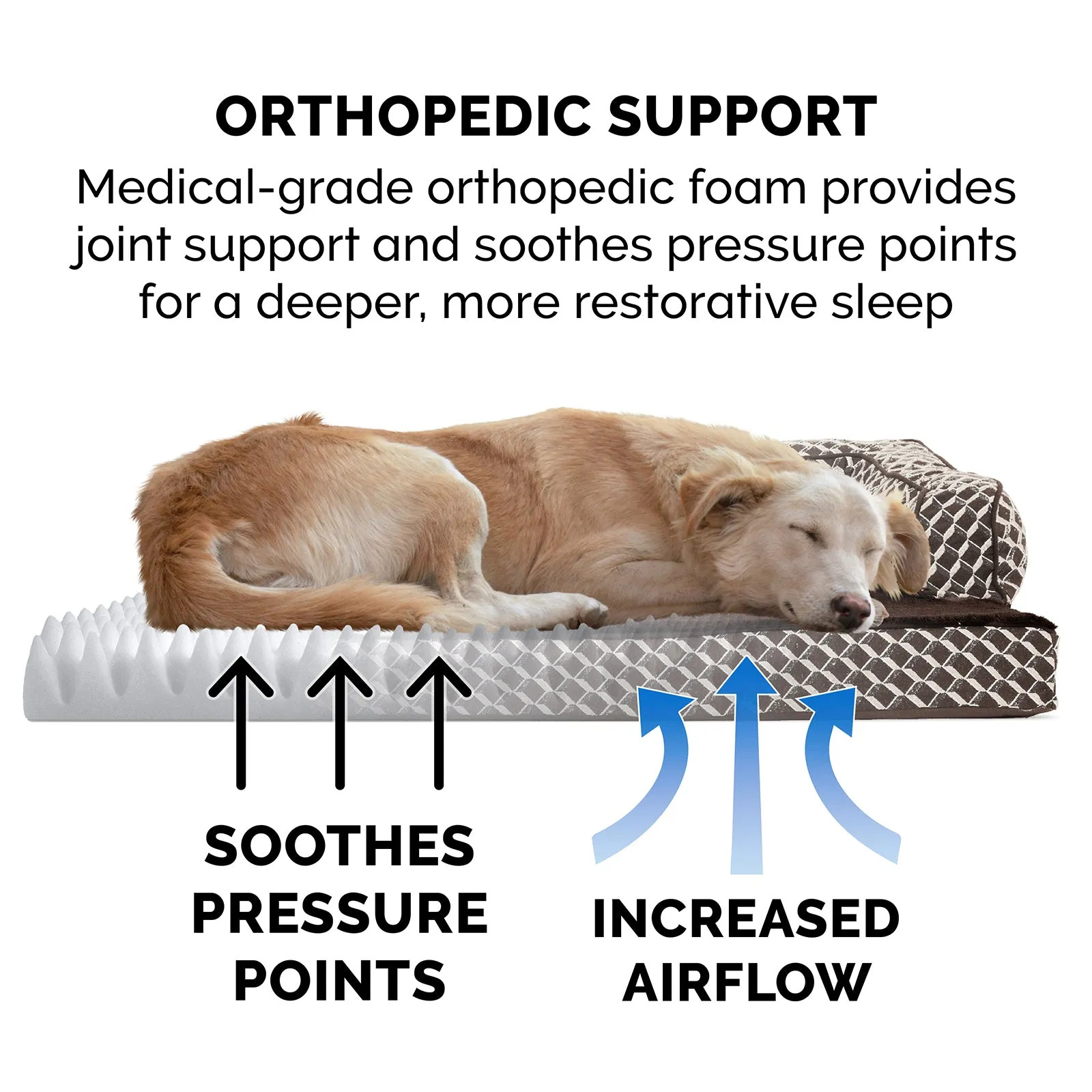 Plush & Patterned Comfy Couch Sofa-Style Pet Bed