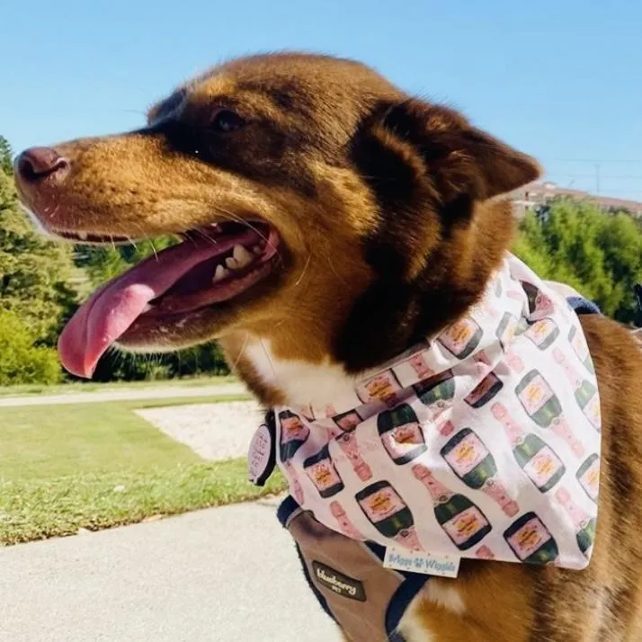 Poppin' Bubbly Handmade Dog Bandana: Celebrate with Champagne in Style
