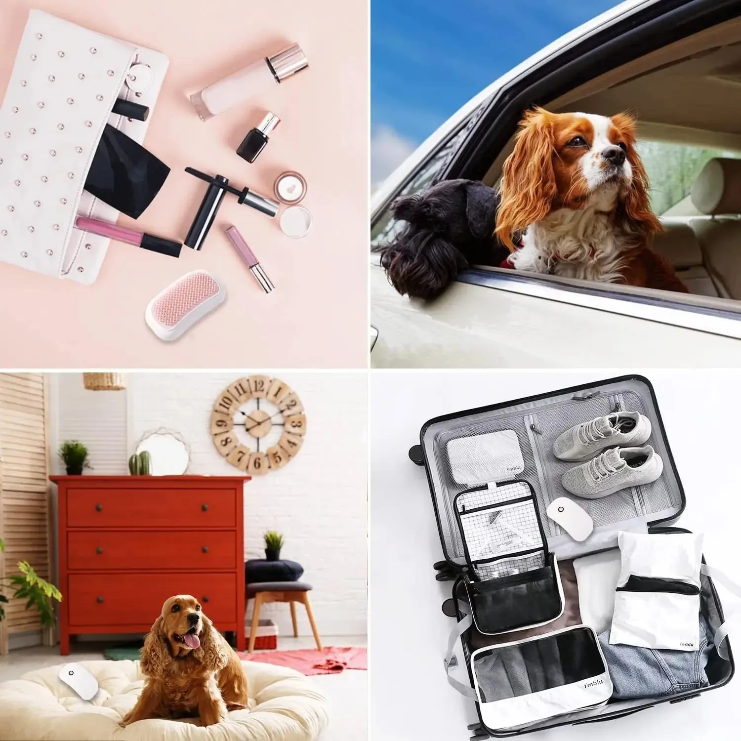 Portable Handheld Electric Brush for Cats and Dogs