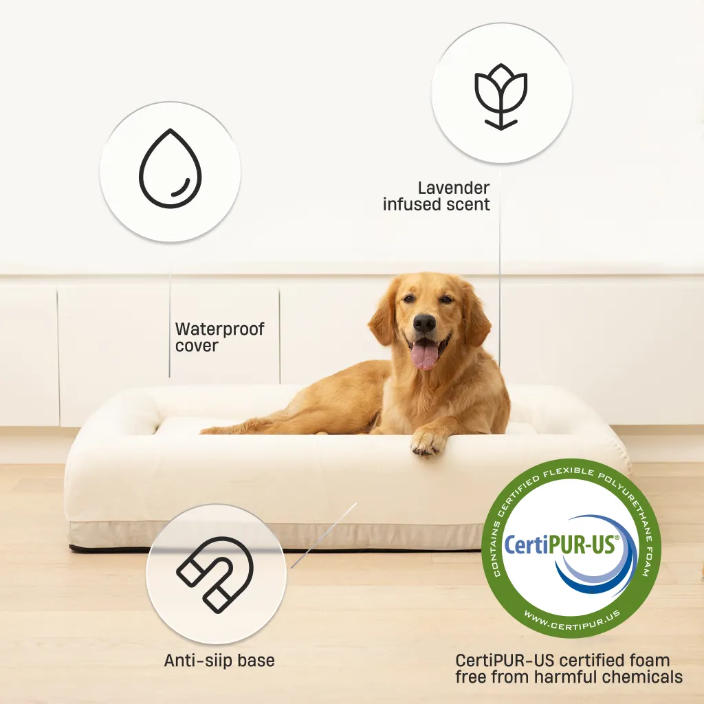 Premium Orthopedic Memory Foam Dog Bed - Beige (Small)