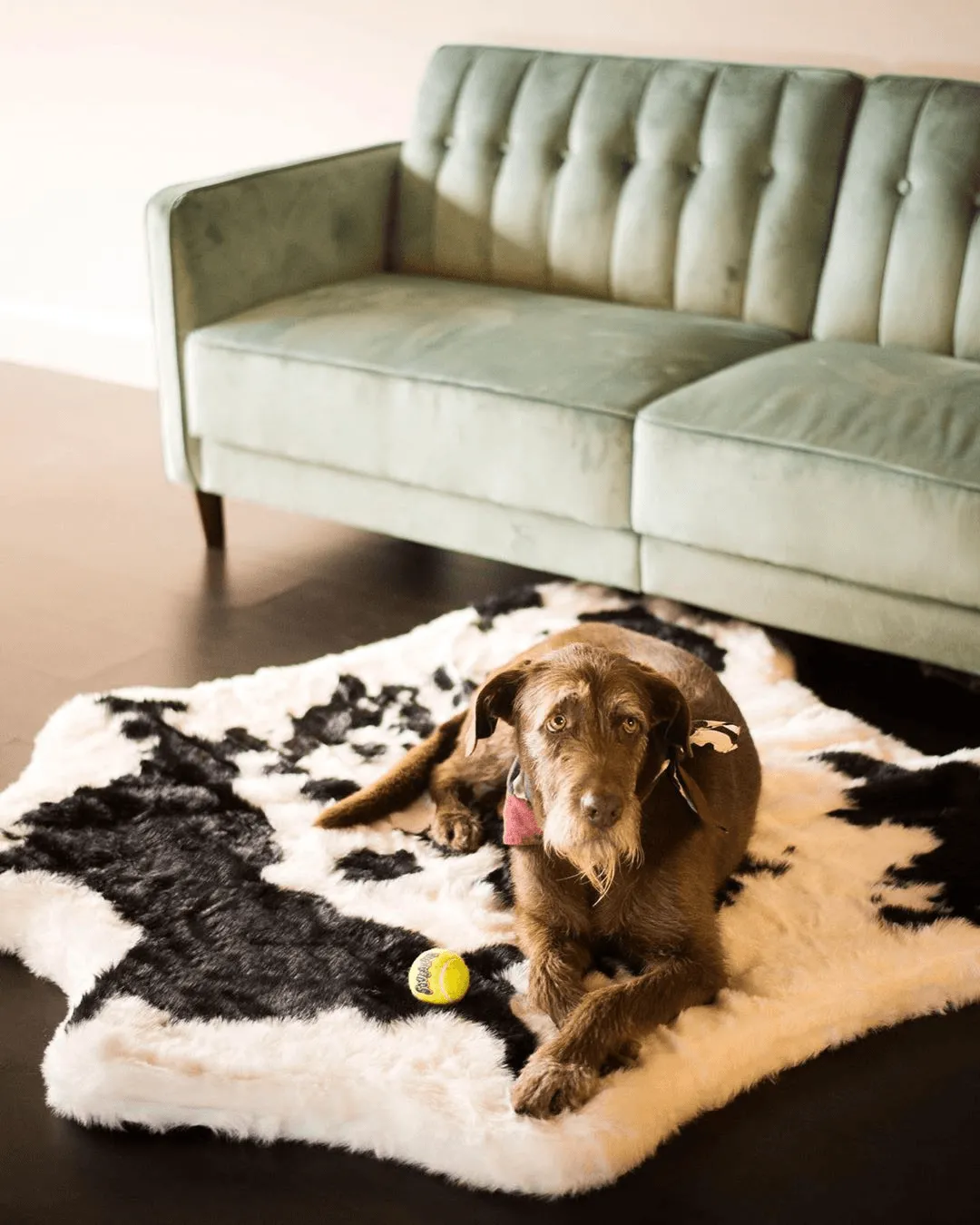PupRug™ Animal Print Memory Foam Dog Bed - Black Faux Cowhide