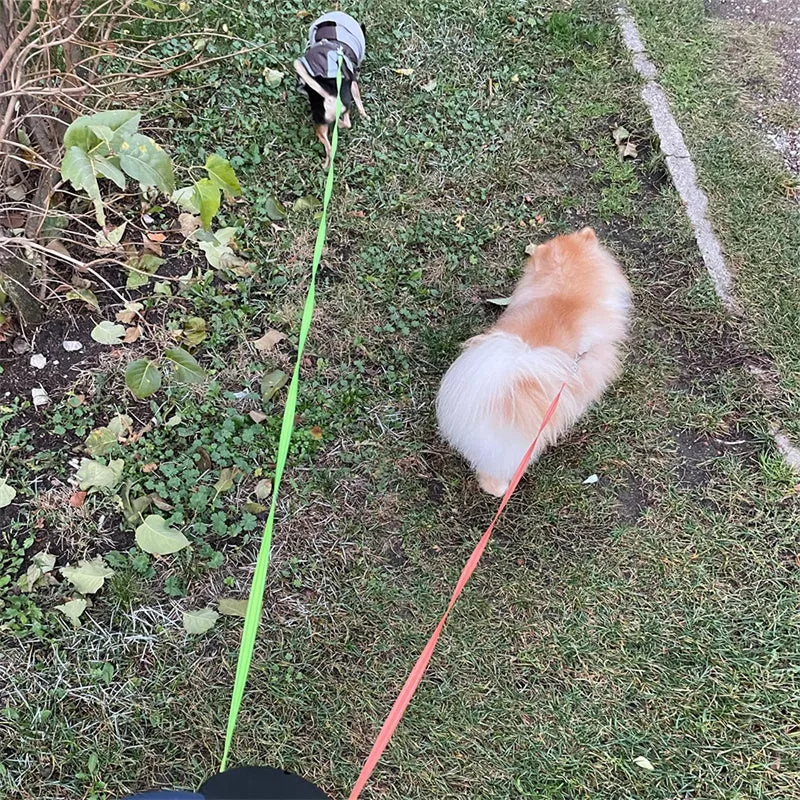 Retractable Reflective Double Dog Walking Leash With Light