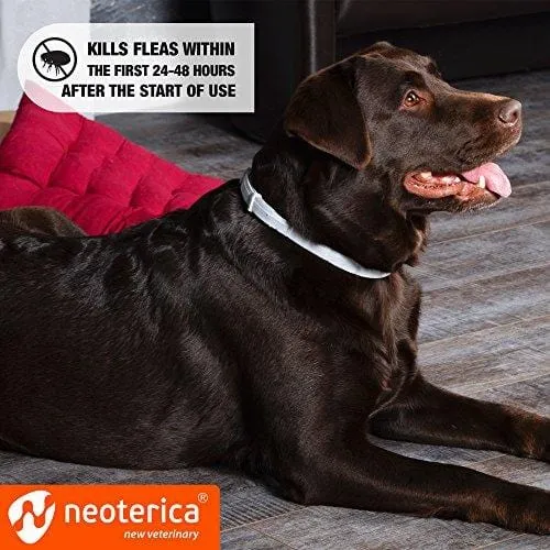 Rolf Club 3D FLEA Collar for Dogs - Flea and Tick Prevention for Dogs - Dog Flea and Tick Control for 6 Months - Safe Tick Repellent - Waterproof Tick Treatment (for All Dogs)