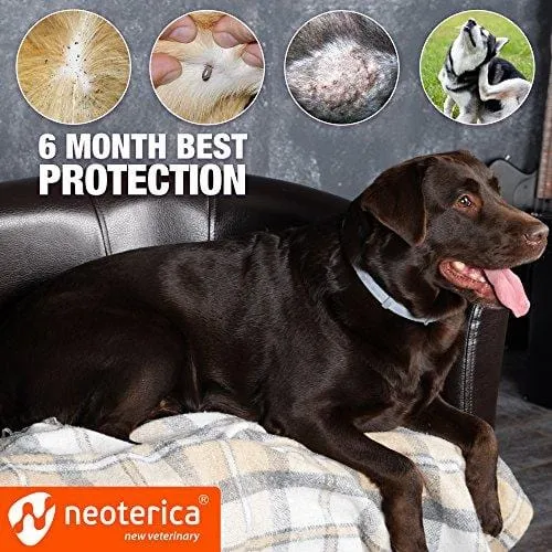 Rolf Club 3D FLEA Collar for Dogs - Flea and Tick Prevention for Dogs - Dog Flea and Tick Control for 6 Months - Safe Tick Repellent - Waterproof Tick Treatment (for All Dogs)