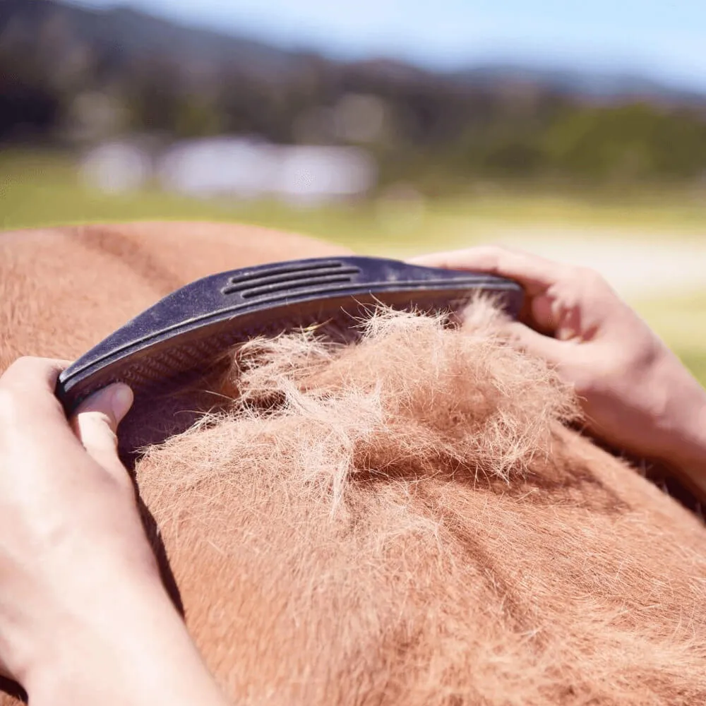 Shedding Grooming Massage Brush