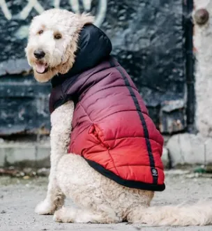 SilverPaw Quilted Puffer Jacket