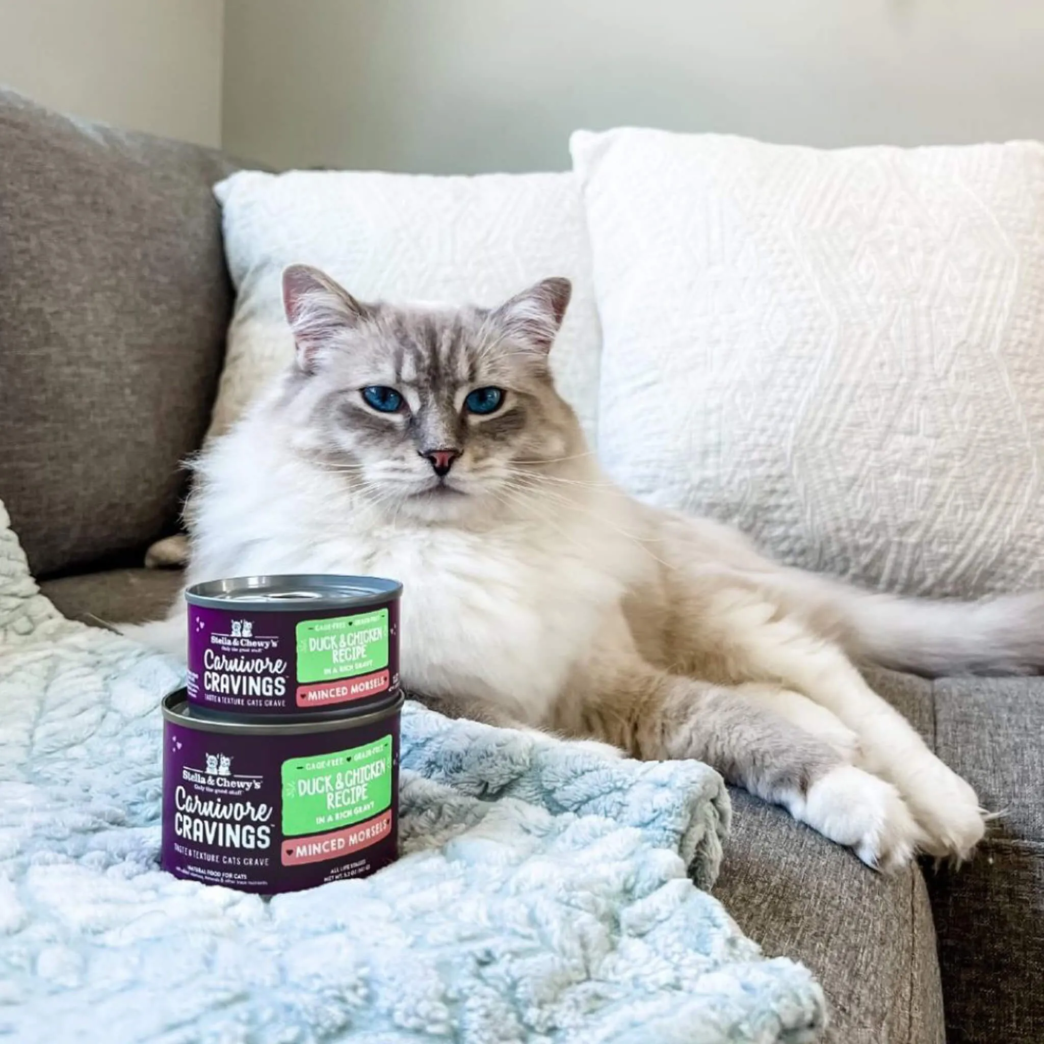Stella & Chewy's Carnivore Cravings Minced Morsels Chicken & Duck Wet Cat Food