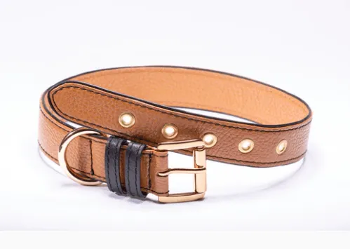 Strapets Signature dog collar - Brown Leather