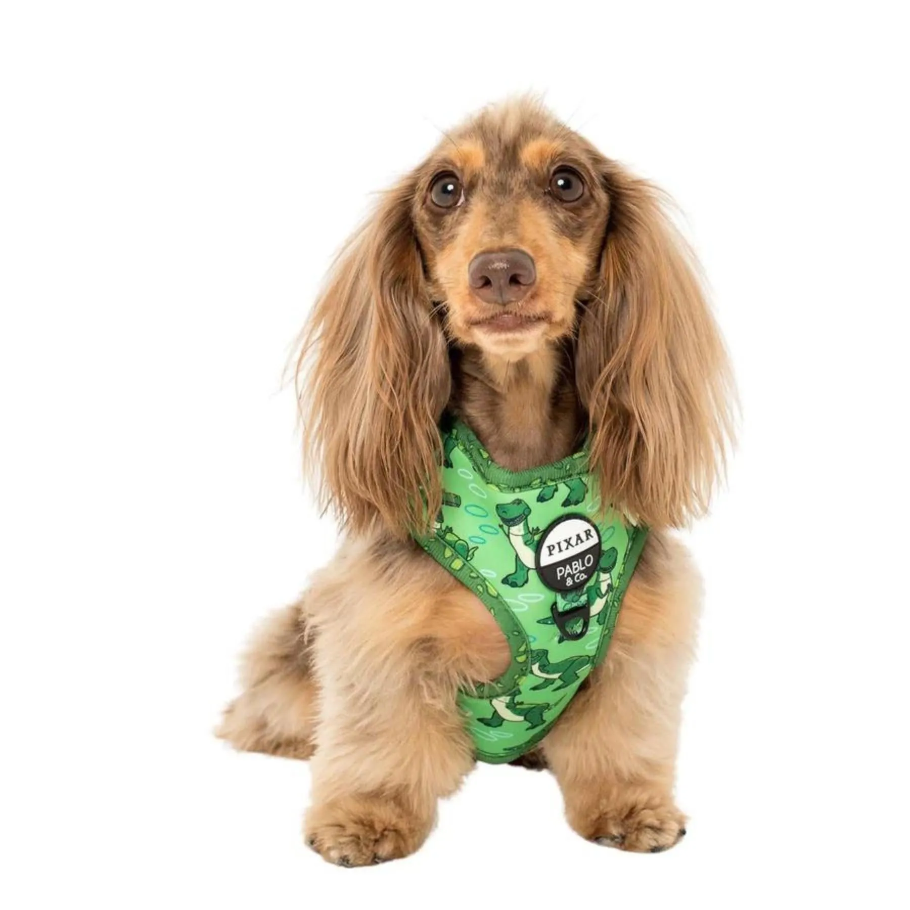 Toy Story - Rex Adjustable Harness
