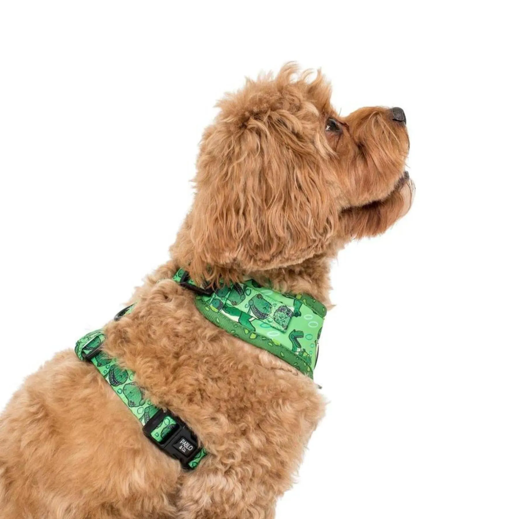 Toy Story - Rex Adjustable Harness