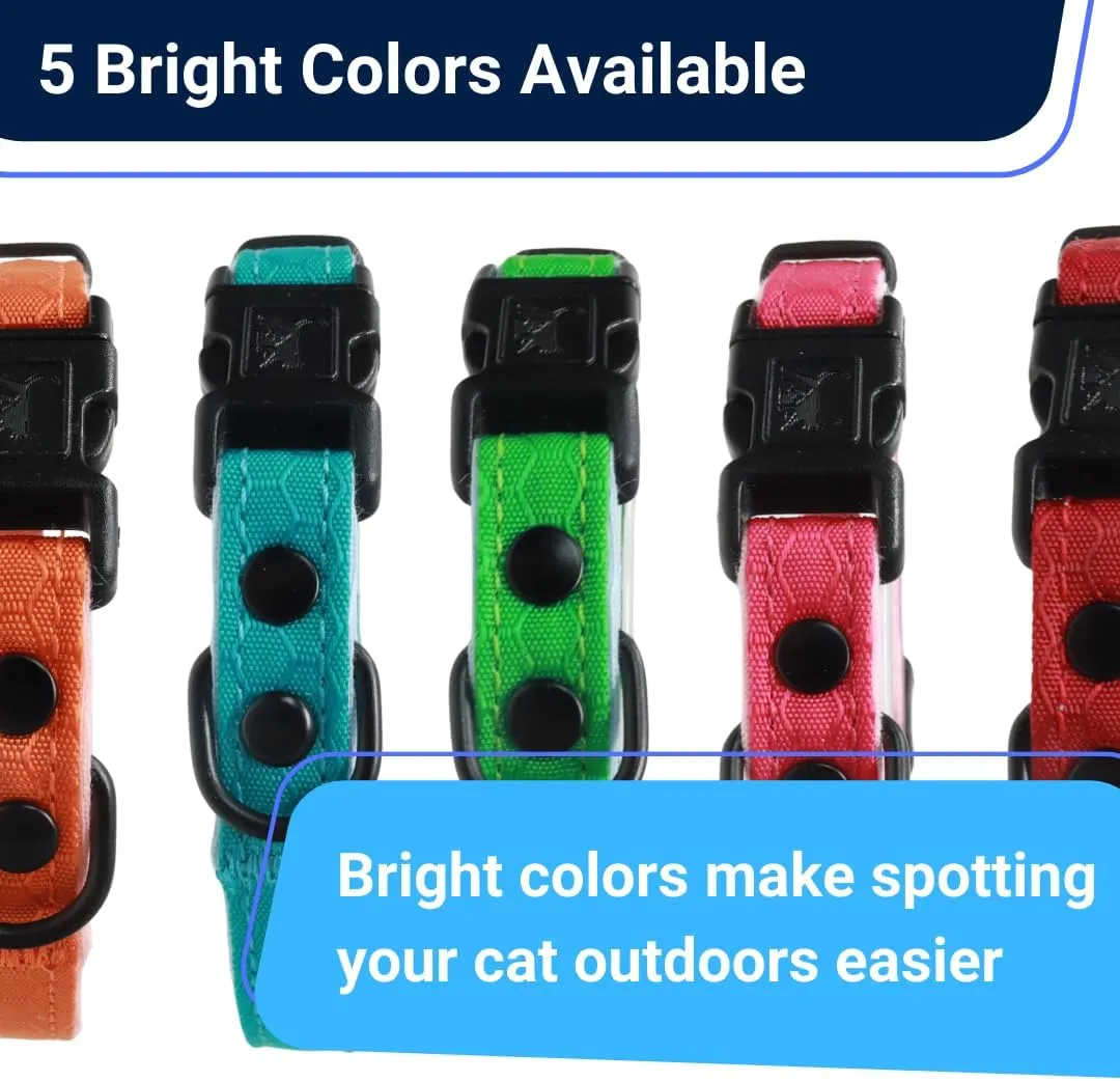 Ultra-Safe Quick Release Breakaway Kitten Collar by OutdoorBengal for Cats Under 6 Months  Soft-Padded, Lightweight, Adjustable, Thin and Comfortable, High-Visible, No Bell (Monstera Green, Kitten)
