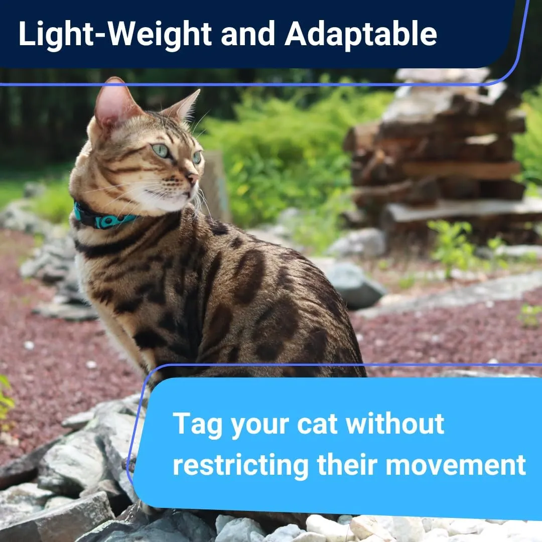 Ultra-Safe Quick Release Breakaway Kitten Collar by OutdoorBengal for Cats Under 6 Months  Soft-Padded, Lightweight, Adjustable, Thin and Comfortable, High-Visible, No Bell (Monstera Green, Kitten)