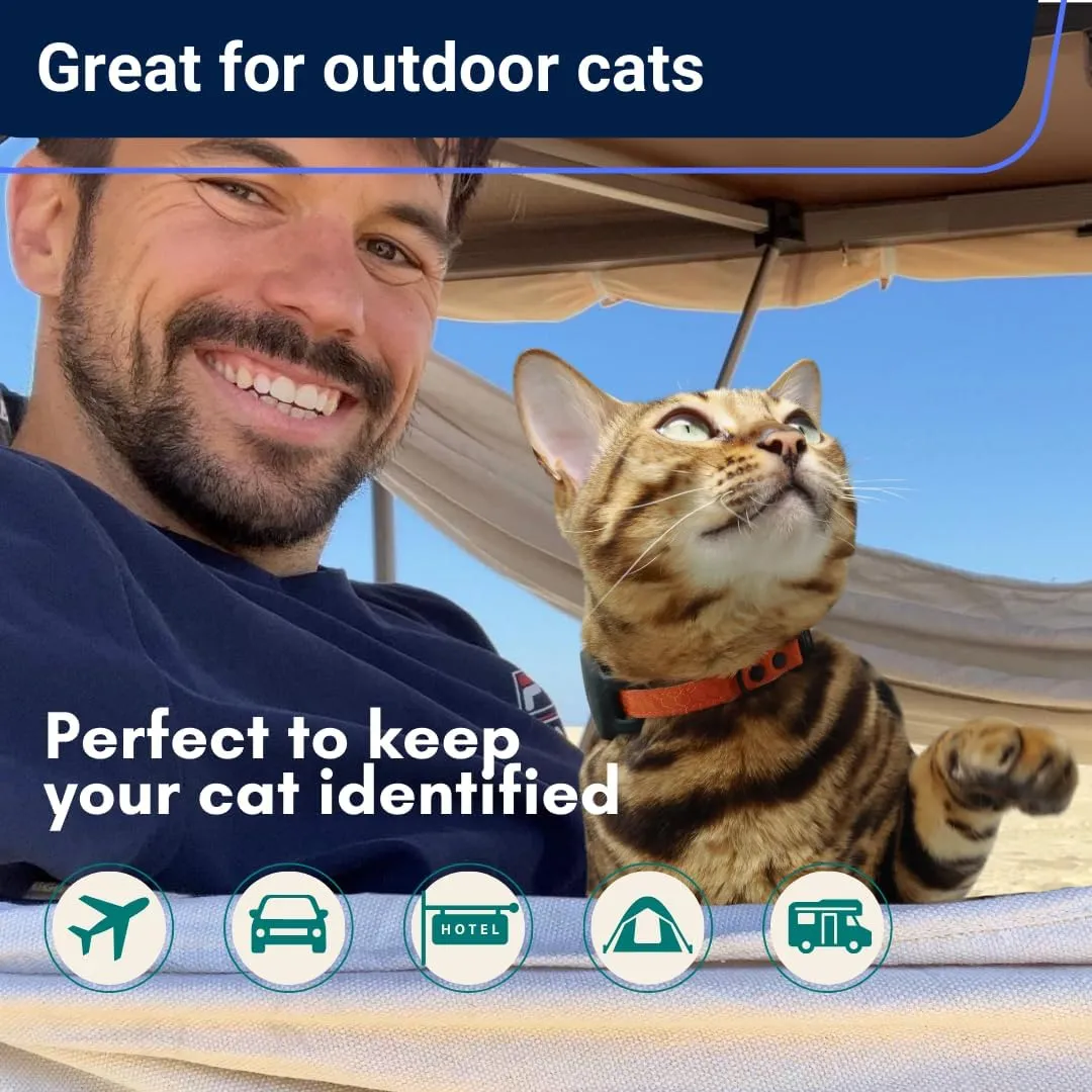 Ultra-Safe Quick Release Breakaway Kitten Collar by OutdoorBengal for Cats Under 6 Months  Soft-Padded, Lightweight, Adjustable, Thin and Comfortable, High-Visible, No Bell (Monstera Green, Kitten)