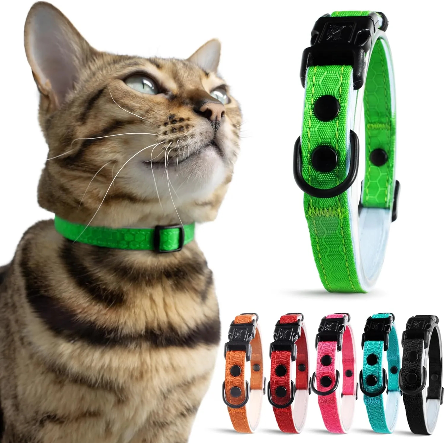 Ultra-Safe Quick Release Breakaway Kitten Collar by OutdoorBengal for Cats Under 6 Months  Soft-Padded, Lightweight, Adjustable, Thin and Comfortable, High-Visible, No Bell (Monstera Green, Kitten)
