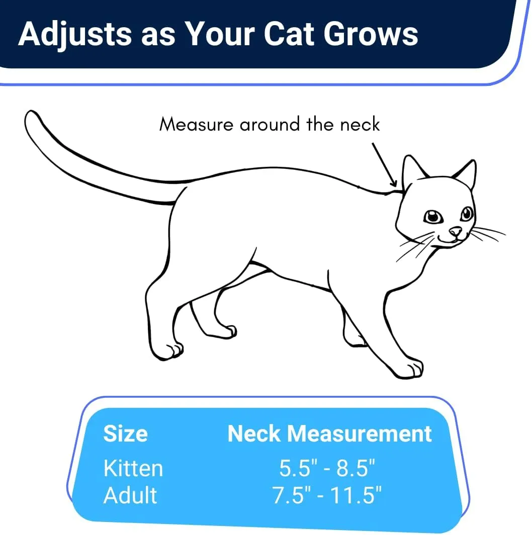 Ultra-Safe Quick Release Breakaway Kitten Collar by OutdoorBengal for Cats Under 6 Months  Soft-Padded, Lightweight, Adjustable, Thin and Comfortable, High-Visible, No Bell (Monstera Green, Kitten)