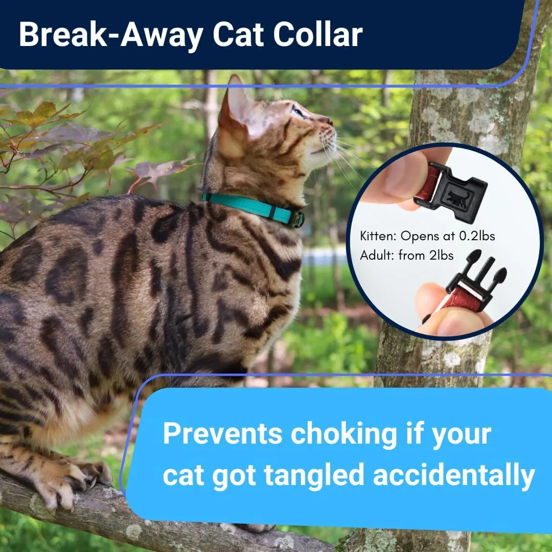 Ultra-Safe Quick Release Breakaway Kitten Collar by OutdoorBengal for Cats Under 6 Months  Soft-Padded, Lightweight, Adjustable, Thin and Comfortable, High-Visible, No Bell (Monstera Green, Kitten)