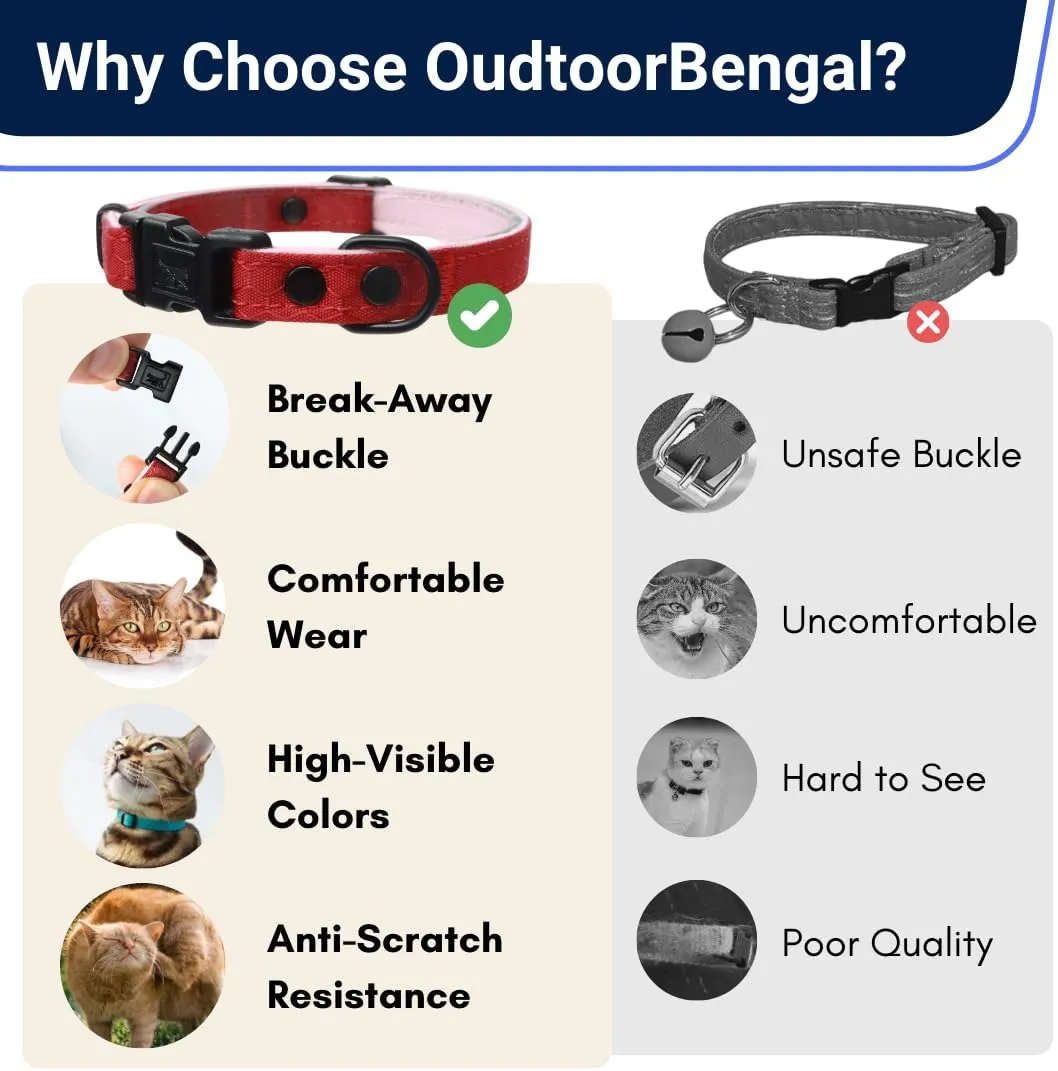 Ultra-Safe Quick Release Breakaway Kitten Collar by OutdoorBengal for Cats Under 6 Months  Soft-Padded, Lightweight, Adjustable, Thin and Comfortable, High-Visible, No Bell (Monstera Green, Kitten)