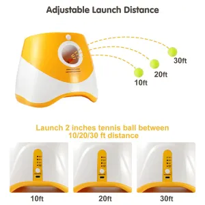 Upgrade Your Dog’s Playtime with the Automatic Ball Launcher