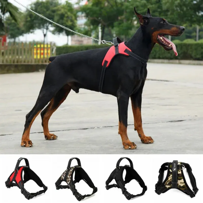 Versatile Pet Harness for All Sizes