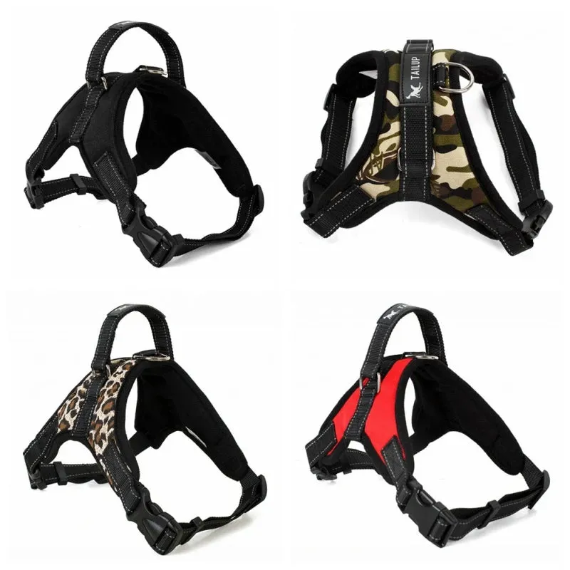 Versatile Pet Harness for All Sizes