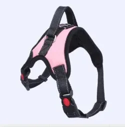Versatile Pet Harness for All Sizes