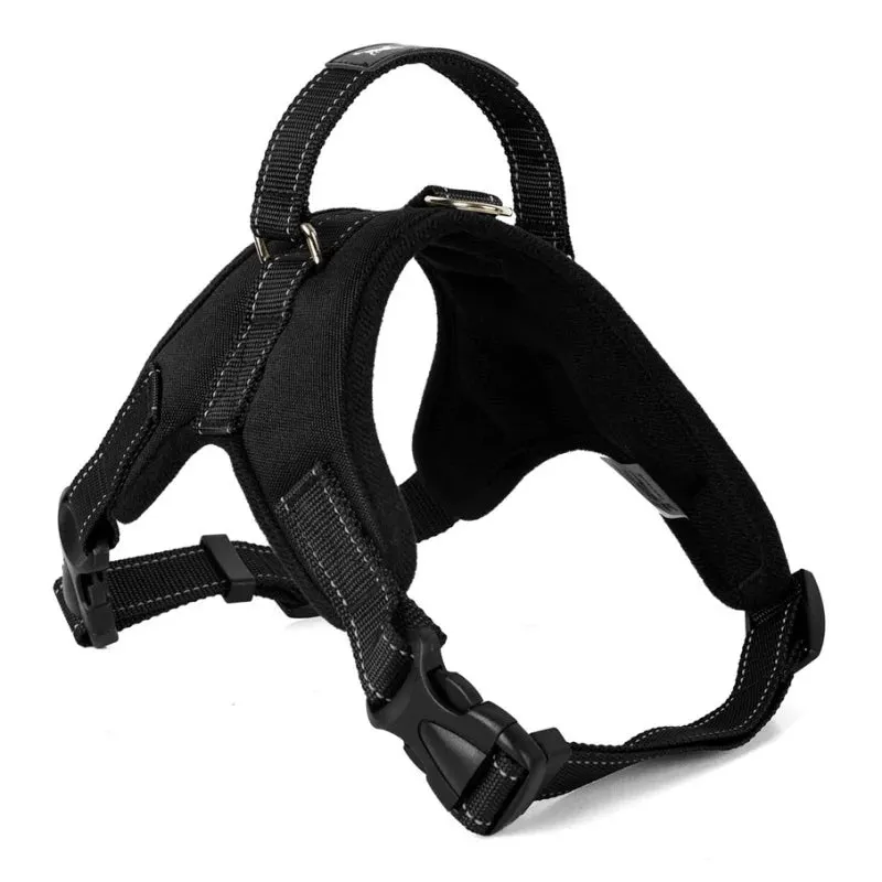 Versatile Pet Harness for All Sizes