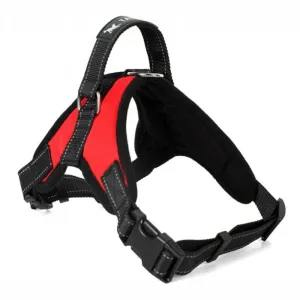 Versatile Pet Harness for All Sizes