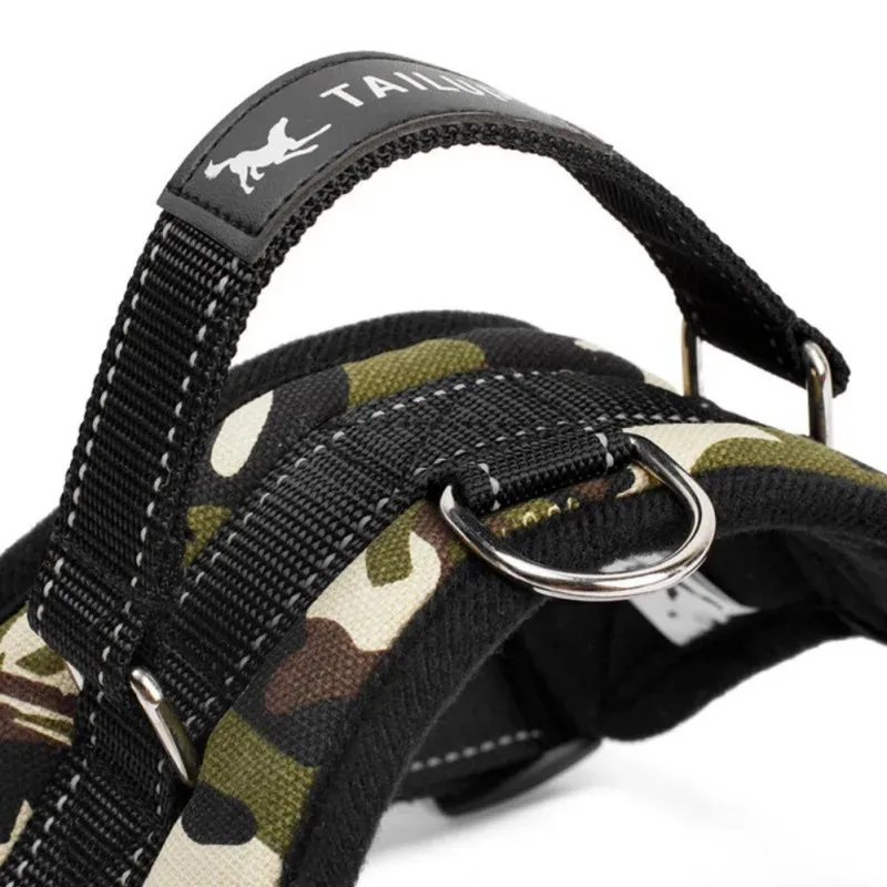 Versatile Pet Harness for All Sizes