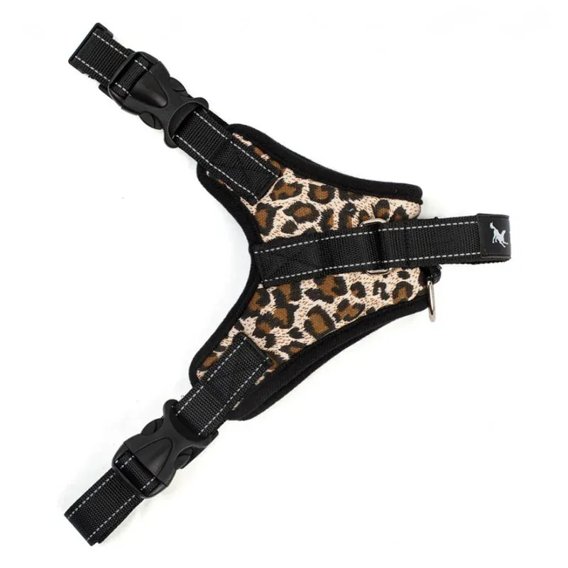 Versatile Pet Harness for All Sizes