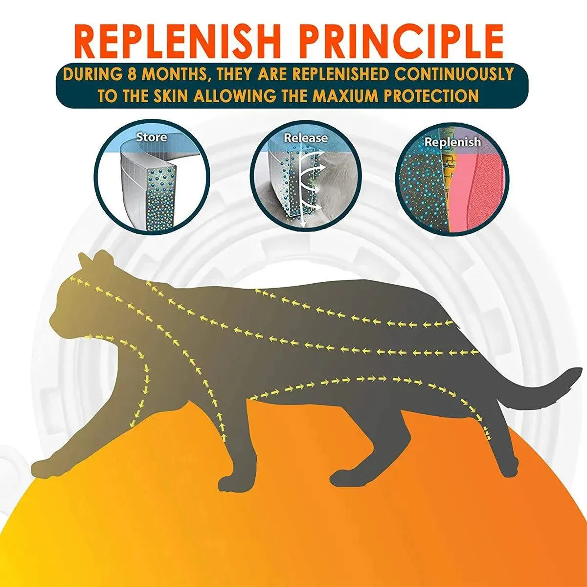 Vet-Recommended Anti-Flea Dog Collar