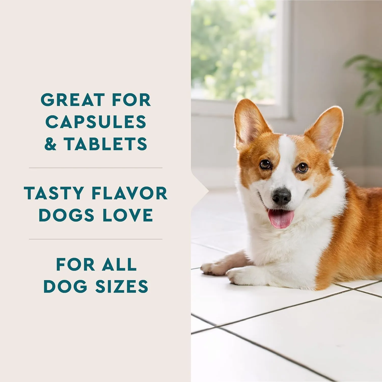 VetIQ Pill Treats Advanced Formula for Dogs, Chicken Flavor Soft Chews, Made in the USA, 30 Count